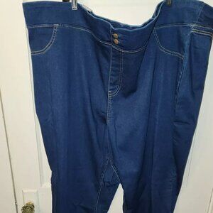 Terra & Sky Women's med blue Denim Plus Size 5X (32W-34W) Skinny Mid Rise